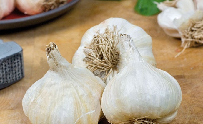 How to grow garlic and shallots
