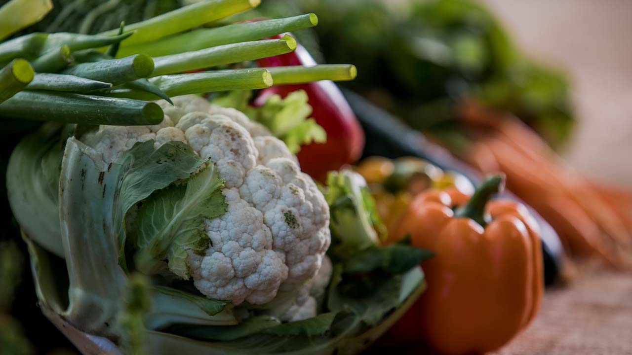 Our beginners guide to vegetable gardening