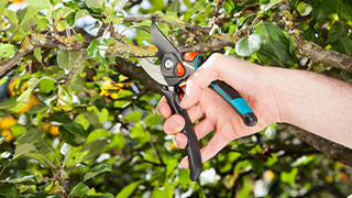 Guide to garden cutting tools