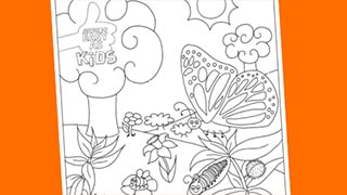 Spring Colouring In Sheet