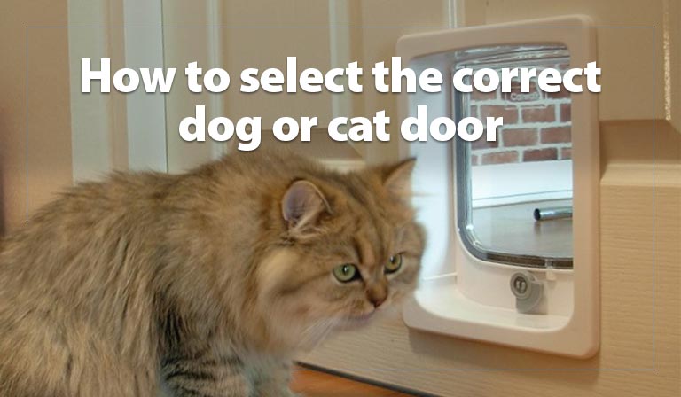 How to select the correct dog or cat door