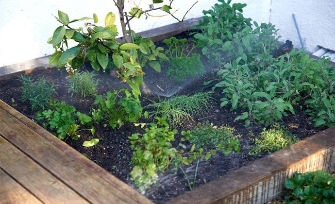 How to install garden irrigation