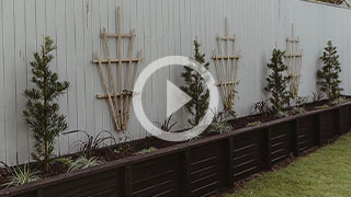 How to create a New Zealand native garden