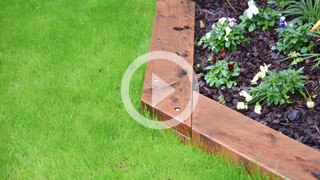 How to care for and maintain lawns