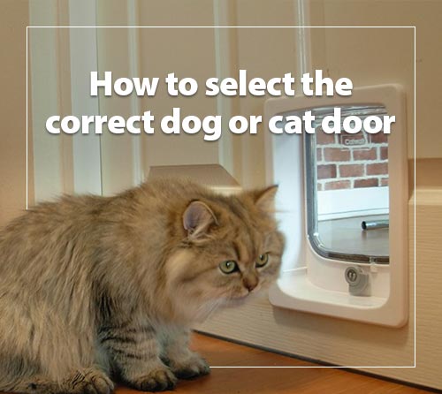 How to select the correct dog or cat door