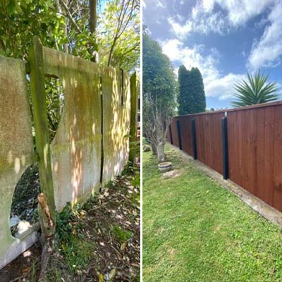 Faye - Fence Makeover