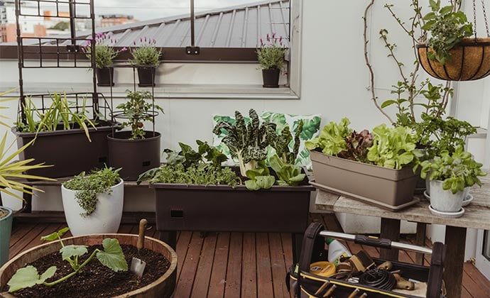How to create mobile veggie gardens