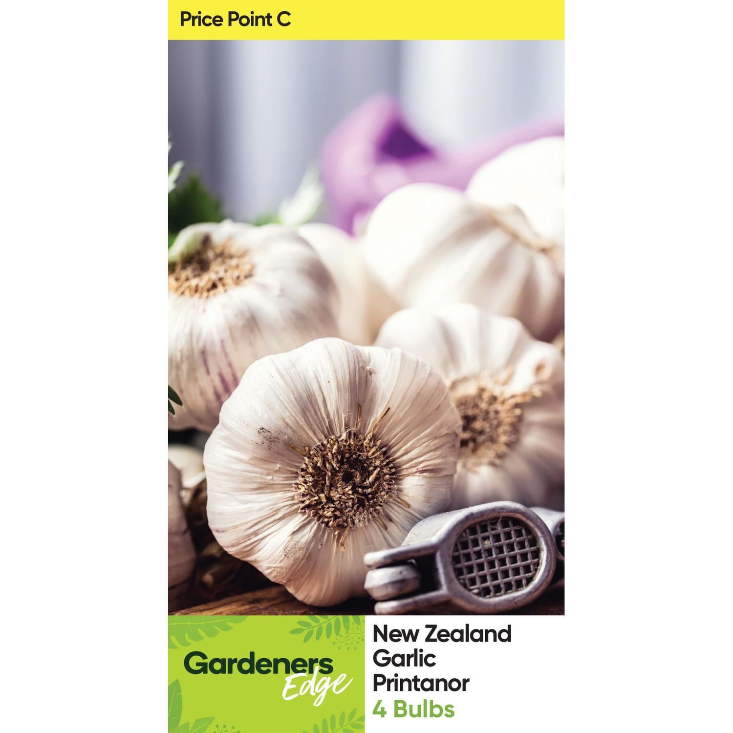 Garlic Printanor Bulbs Garlic Shallots & Asparagus