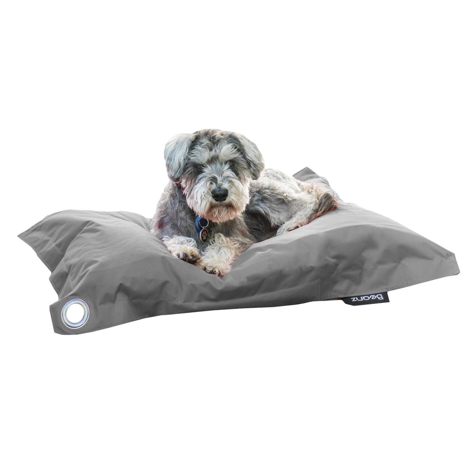 Mitre 10 shop dog beds