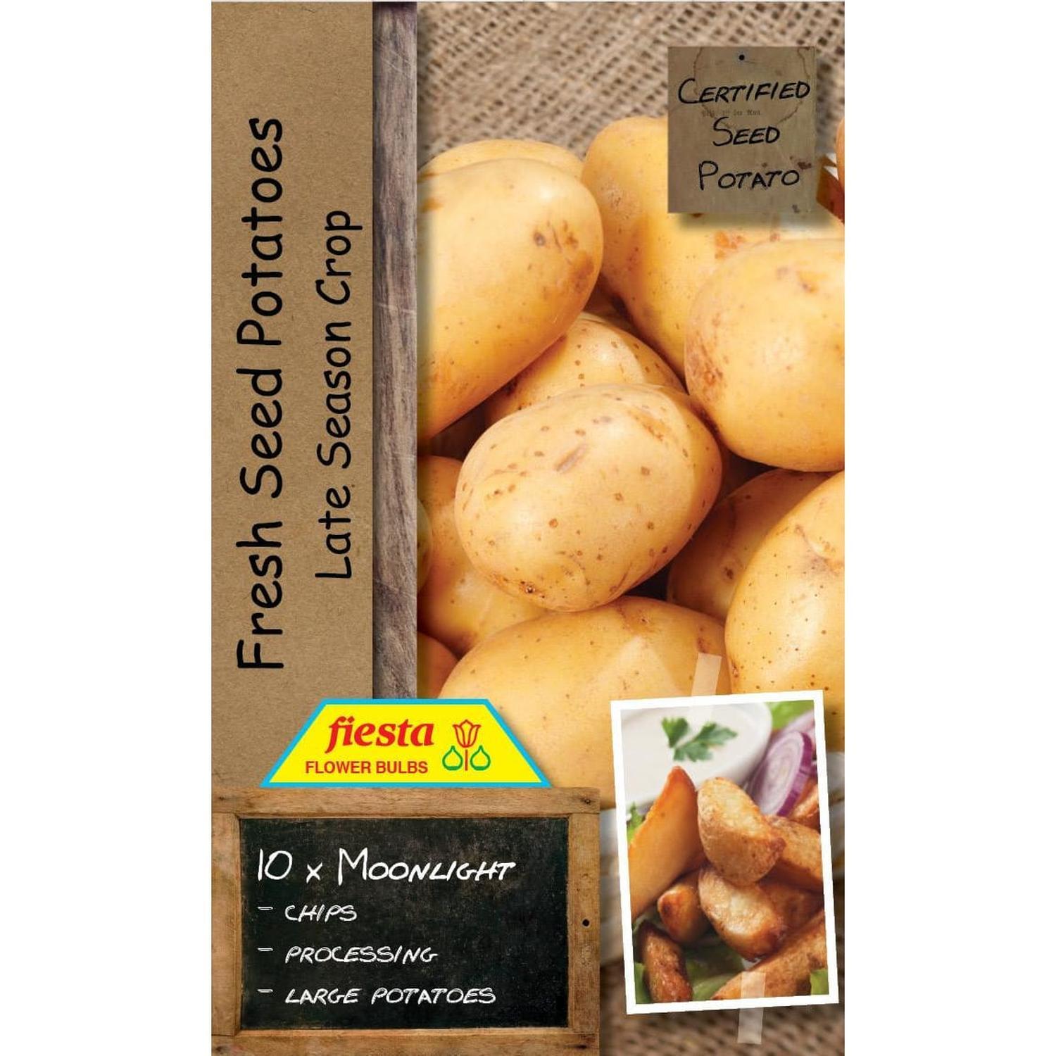 Seed Potato Moonlight 10 pack Seed Potatoes